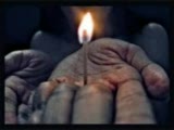 Firelight Şahin