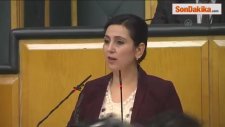 Hdp Grup Toplantısı