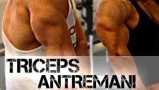 TRICEPS ANTRENMANI / French Press Egzersizi/ Arka Kollar için Hareket Shredded Brothers