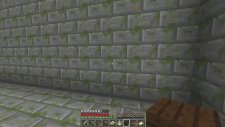 Minecraft: Maze Runner Survival - Bölüm 3 - Güney Kapısı!