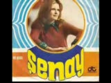 Şenay - Hayat Bayram Olsa