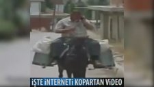 İşte İnterneti Kopartan Video