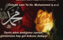 Harika İlahi Ararım Seni Hep Bu Gönüllerde