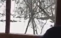 Murat Kekilli Özgecan'ın Adına Yaptığı Şarkı