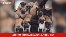 Annem Sofrayı Hazırlarken Biz