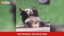 Haftasonu Gelince Ben