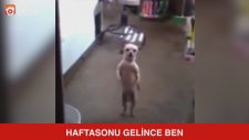 Haftasonu Gelince Ben