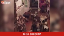 Okul Çıkışı Biz