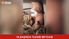 Yılbaşında Taksim Meydanı