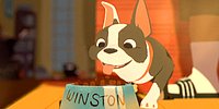 En İyi Kısa Animasyon Dalında Oscar Alan Film (Feast)