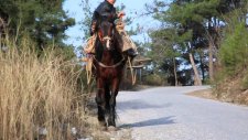 DÖRTYOL KISA FİLMİ