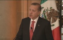 Meksika Cumhurbaşkanı Erdoğan Onuruna Öğle Yemeği Verdi