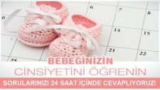 Çin Takvimi Cinsiyet ve Yaş Hesaplama