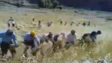 Doğal Kürt Operası