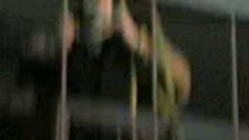Saddam Hüseyin'ın İdam Görüntüleri