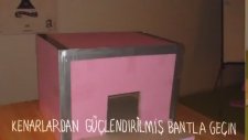Sokak Hayvanları İçin El Yapımı Barınak
