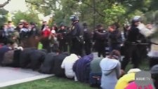 10 cm Uzaklıktan Biber Gazı Sıkan ABD Polisi - #OccupyDavis
