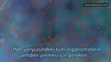 9 Dakikada Bilinen Evren