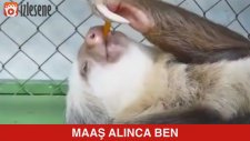 Maaş Alınca Ben