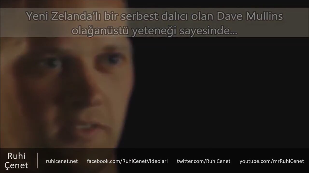Gerçek güçlere sahip insanlar, özel güçlere sahip insanlar Gerçek güçlere sahip insanlar, özel güçlere sahip insanlar