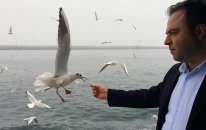 Martı Nasıl Beslenir? Harbiyiyorum'dan Olay Yaratacak Besleme Tekniği! - Harbiyiyorum.com