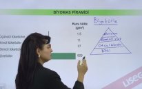 Biyomas Piramidi, Enerji Piramidi Konu Anlatımı - YGS LYS | Lisego