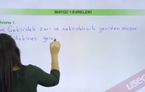 Mayoz 1 Evreleri–Metafaz 1, Anafaz 1, Telofaz 1 Konu Anlatımı | Lisego