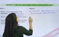 Mayoz 1 ve Mayoz 2 Bölünmesinin Karşılaştırılması - YGS LYS | Lisego