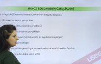 Mayoz Bölünme Nedir? Özellikleri Nelerdir? - YGS LYS | Lisego