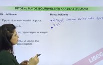 Mitoz ve Mayoz Bölünme Karşılaştırılması - YGS LYS | Lisego