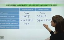 Oksijensiz Solunum ile Oksijenli Solunumun Karşılaştırılması - Lisego