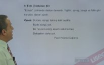 Şiir Türleri: Didaktik, Pastoral ve Lirik Şiir Konu Anlatımı - LYS Edebiyat | Lisego