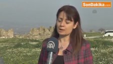 2 Milyon Yaşındaki