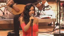 Aysel Yakupoğlu - Evlerinin Önü Yaldız Piyade