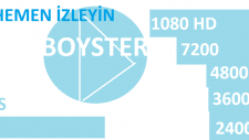 BOYSTER BİLGİ YARIŞMASI 2
