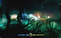 ORI And The Blind Forest Walkthrough - Part 10 Misty Woods Gameplay 1080p 60FPS PC / Xbox One