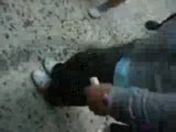 Okulum Benim
