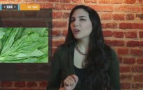 Yaz Saati Uygulaması Ve Kalp Krizi