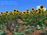 Shrek Çorum Versiyonu