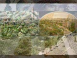 Antep Rap