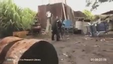 Maymuna Silah Verirsen O da Seni Maymun Eder :))