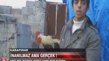 Kesilmek İstenen Horoz 'anne' Diye Bağırdı...!