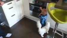 Bebeği Yanmaktan Kurtarmaya Çalışan Kedi