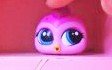 Lps:miniş Ayrıştırıcı - Lps Candy Tv