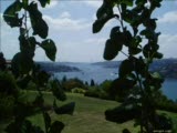 Cankuşum-Şemsi Belli