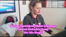 Vertigo Hastalığı Çağımızın Hastalığı Edremit Mektebim Koleji Filiz Bingöl