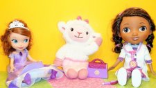 Prenses Birinci Sofia ve Doktor McStuffins - Piknik'te - EvcilikTV