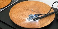 Ağaç Kesitini Plak Gibi Dinleyince Ortaya Çıkan Müzik