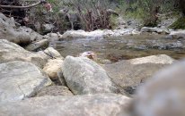 Maverick Scout / Jeep Wrangler_Antalya/Ulupınar