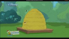 Fineas Ve Ferb Arı Dansı